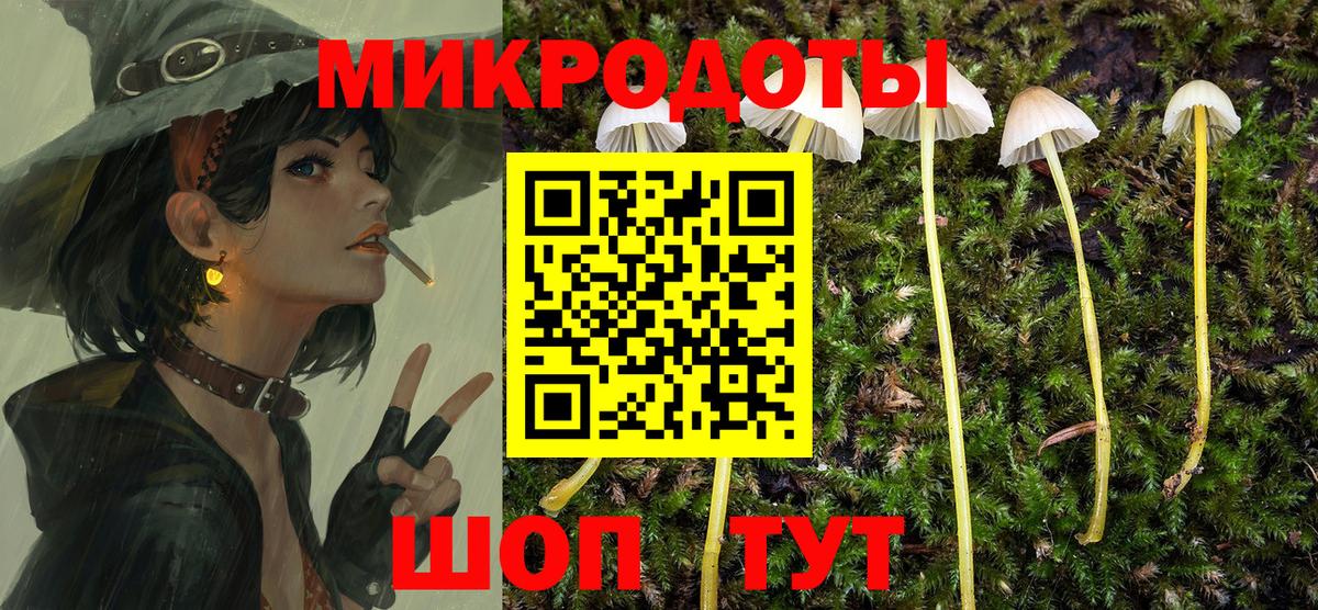 Балаково  Псилоцибиновые грибы MAGIC MUSHROOMS  Вход с VPN 